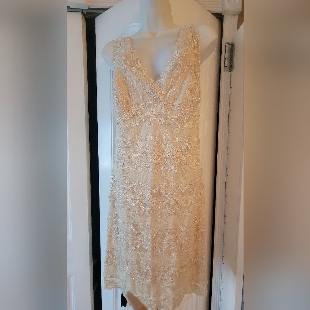 NWOT boston proper ivory iridescent seed dress Large.